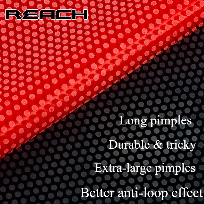 Reach C-8 C-801 Table-tennis R – Table Tennis Market Bewertung und Preis